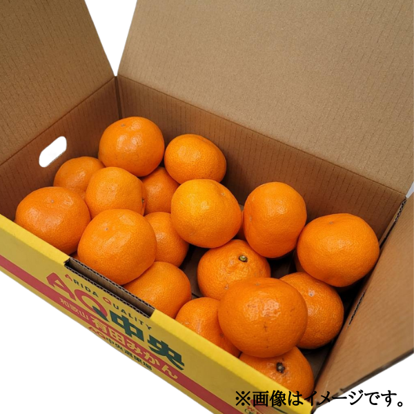 和歌山県産 有田みかん S-L3kg箱 商品画像(2)